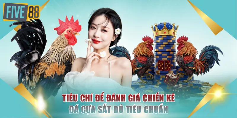 Đá Gà Cựa Sắt FIVE88 - Mãn Nhãn Với Nhiều Trận Đấu Gay Cấn 4 Các tiêu chí để đánh giá chiến kê đá cựa sắt đủ tiêu chuẩn