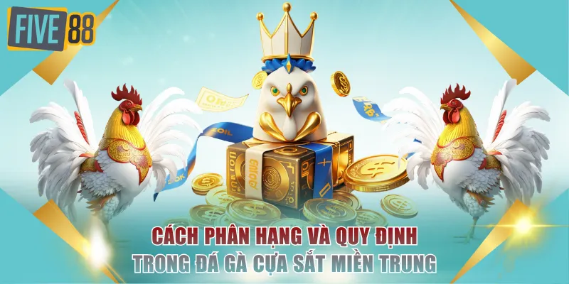 Đá Gà Cựa Sắt FIVE88 - Mãn Nhãn Với Nhiều Trận Đấu Gay Cấn 3 Cách phân hạng và quy định trong đá gà cựa sắt miền Trung