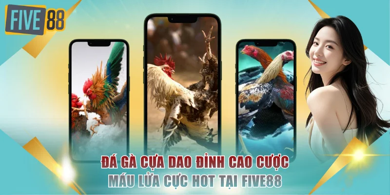 Đá Gà Cựa Dao Đỉnh Cao Cược Máu Lửa Cực Hot Tại FIVE88 1 Đá gà cựa dao