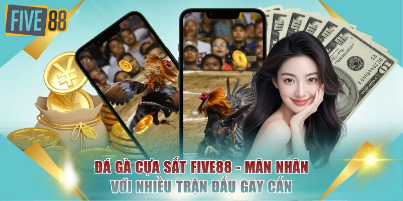 Đá Gà Cựa Sắt FIVE88 - Mãn Nhãn Với Nhiều Trận Đấu Gay Cấn 1 Đá gà cựa sắt
