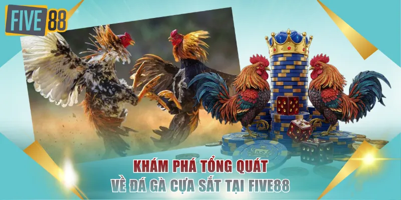 Đá Gà Cựa Sắt FIVE88 - Mãn Nhãn Với Nhiều Trận Đấu Gay Cấn 2 Khám phá tổng quát về đá gà cựa sắt tại FIVE88