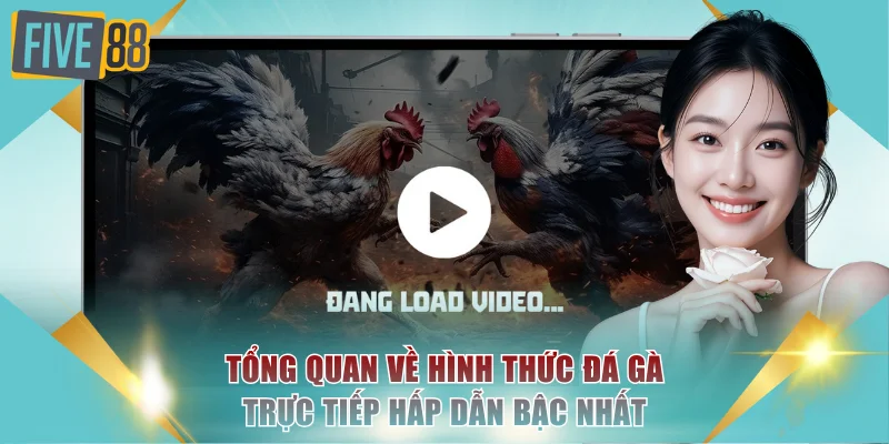 Đá Gà Trực Tiếp - Xem Full HD Những Màn Đấu Gay Cấn 2 Tổng quan về hình thức đá gà trực tiếp hấp dẫn bậc nhất