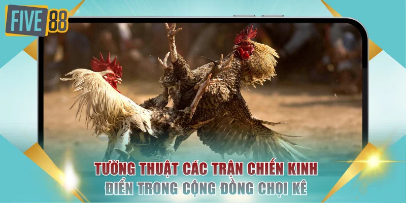 Đá Gà Trực Tiếp - Xem Full HD Những Màn Đấu Gay Cấn 4 Tường thuật các trận chiến kinh điển trong cộng đồng chọi kê